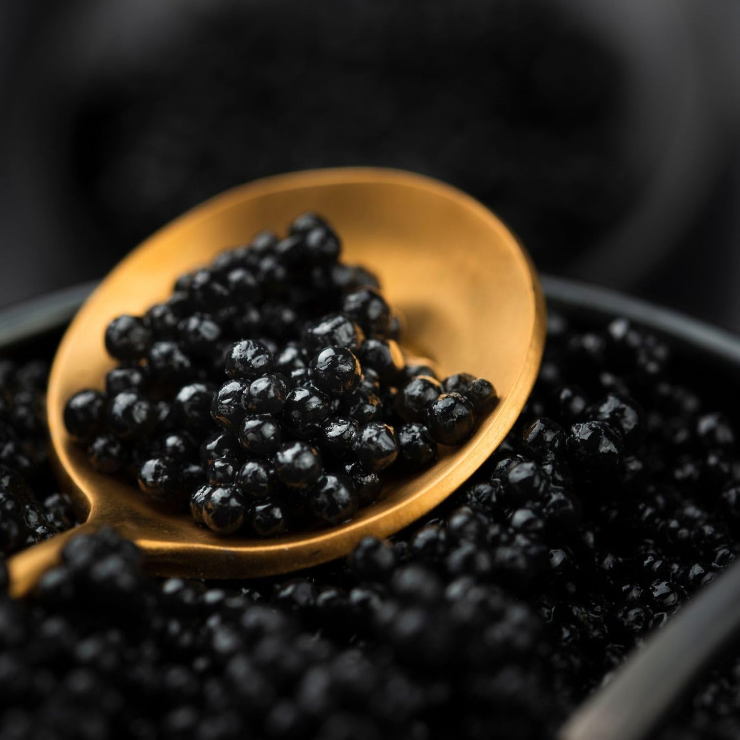 Tradino Premium Black Truffle Pearls – Gourmet Finishing Pearls from Spain, Exquisite Culinary Delight, Perfect for Enhancing Dishes, 2.82 Oz