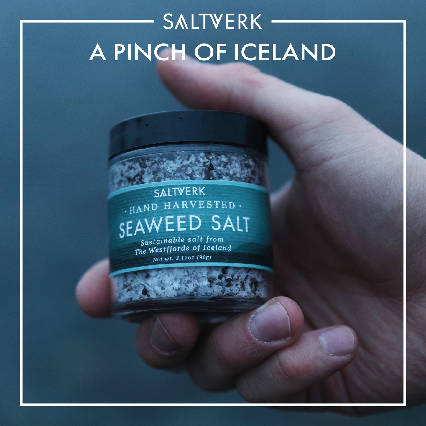 Saltverk Seaweed Sea Salt - 3.17 Ounces Jar - Hand Harvested Gourmet - Sustainably Made