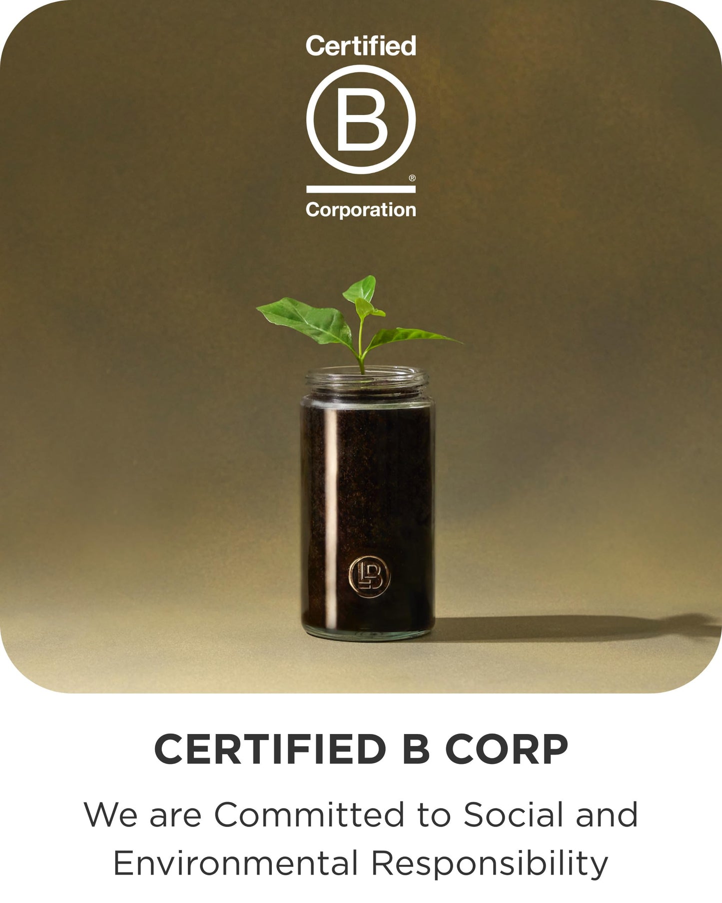LAKRIDS BY BÜLOW - Frozen Mint - 10.4 Oz. - Chocolate Coated Gourmet Licorice - Sweet Licorice Coated in Chocolate and Mint