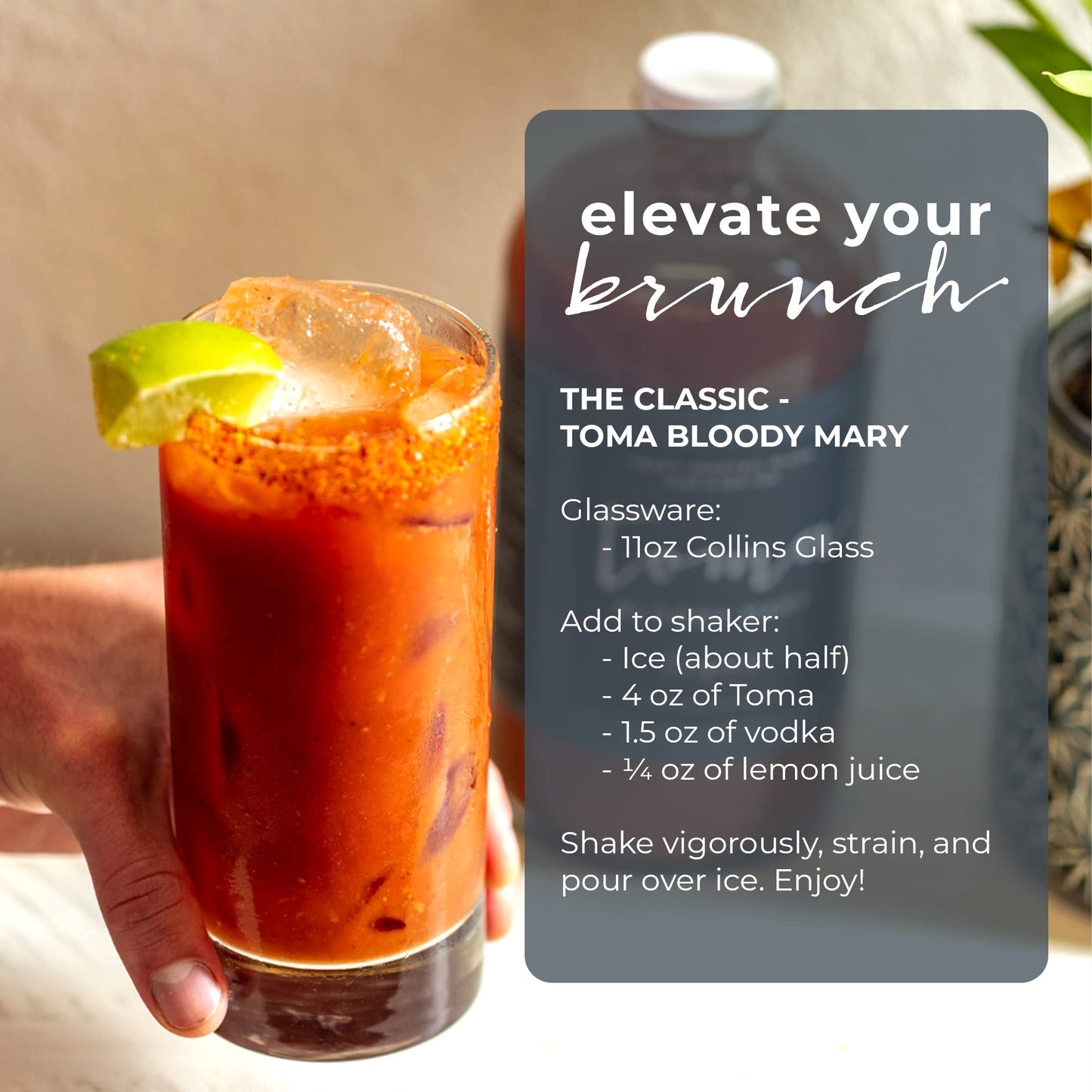 Toma Bloody Mary Craft Cocktail Mixer - Variety Pack - ORIGINAL (Spicy) & HORSERADISH (Medium) - Non-Alcoholic Mixer - Vegan - Gluten Free - Low Sodium - No MSG - No Added Preservatives - No Corn Syrup - 32 Oz. (2 Pack)