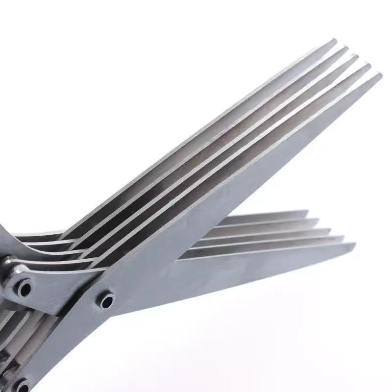 5-Cut Vegetable Scissors