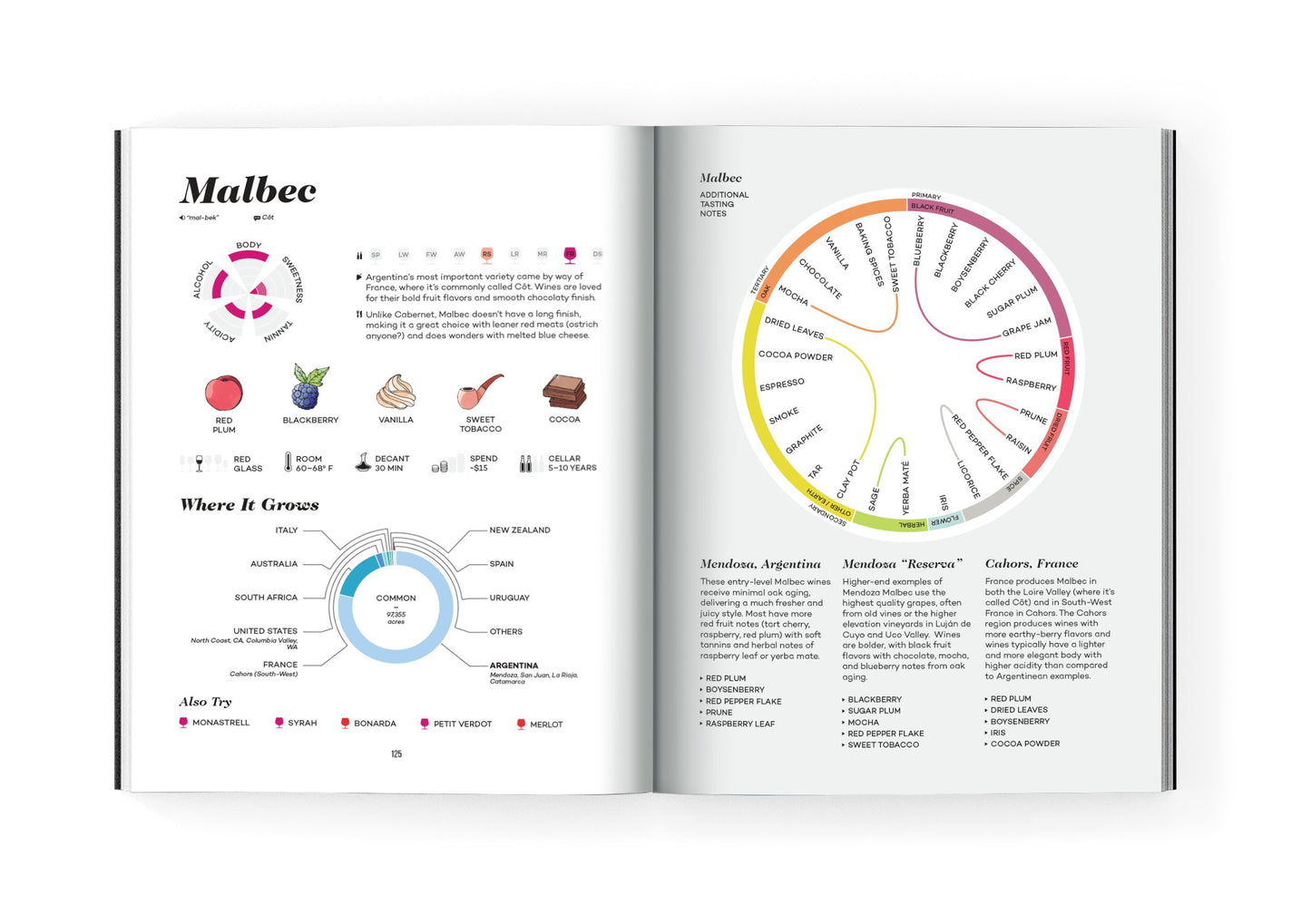 Wine Folly - Magnum Edition: The Master Guide