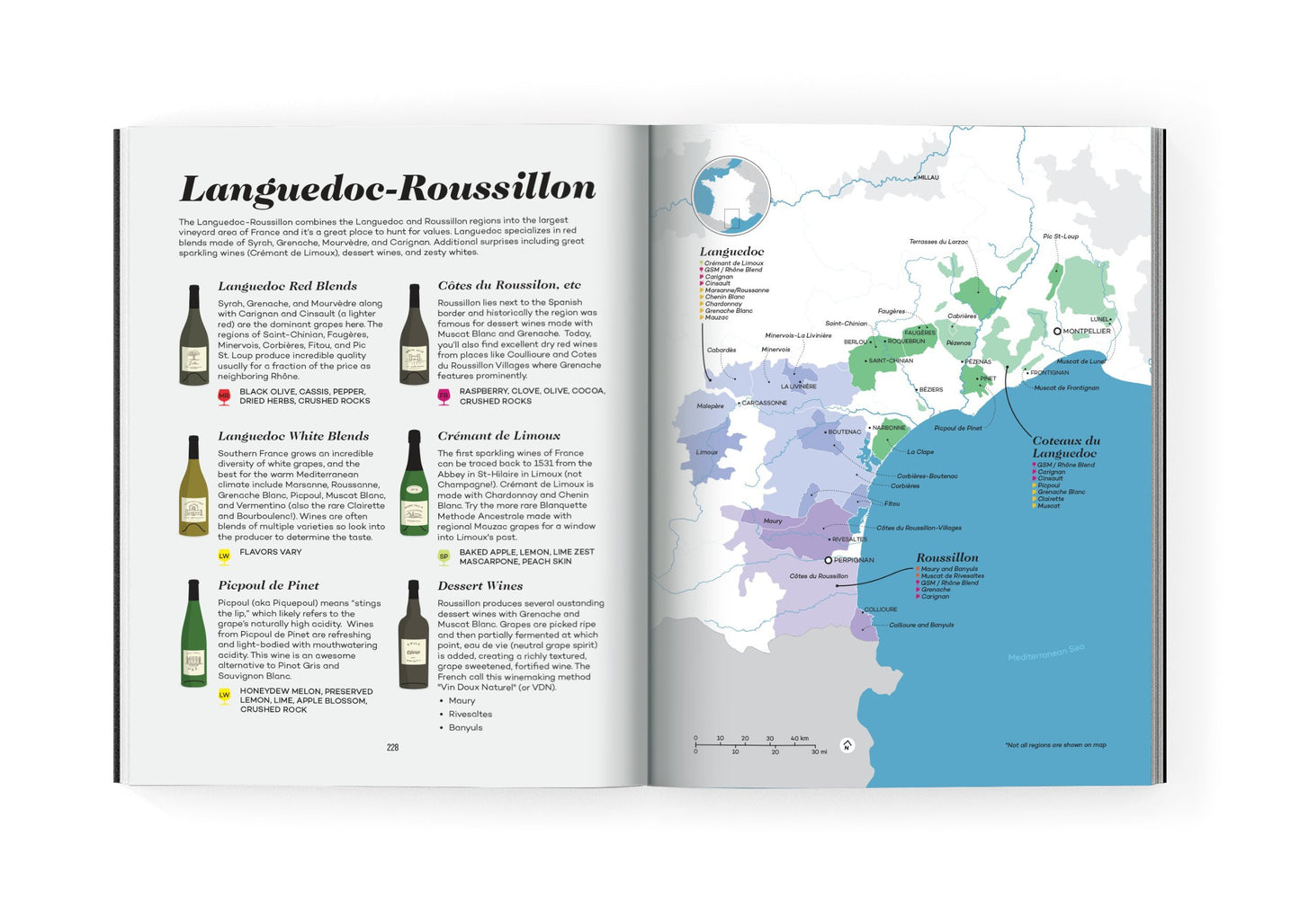 Wine Folly - Magnum Edition: The Master Guide