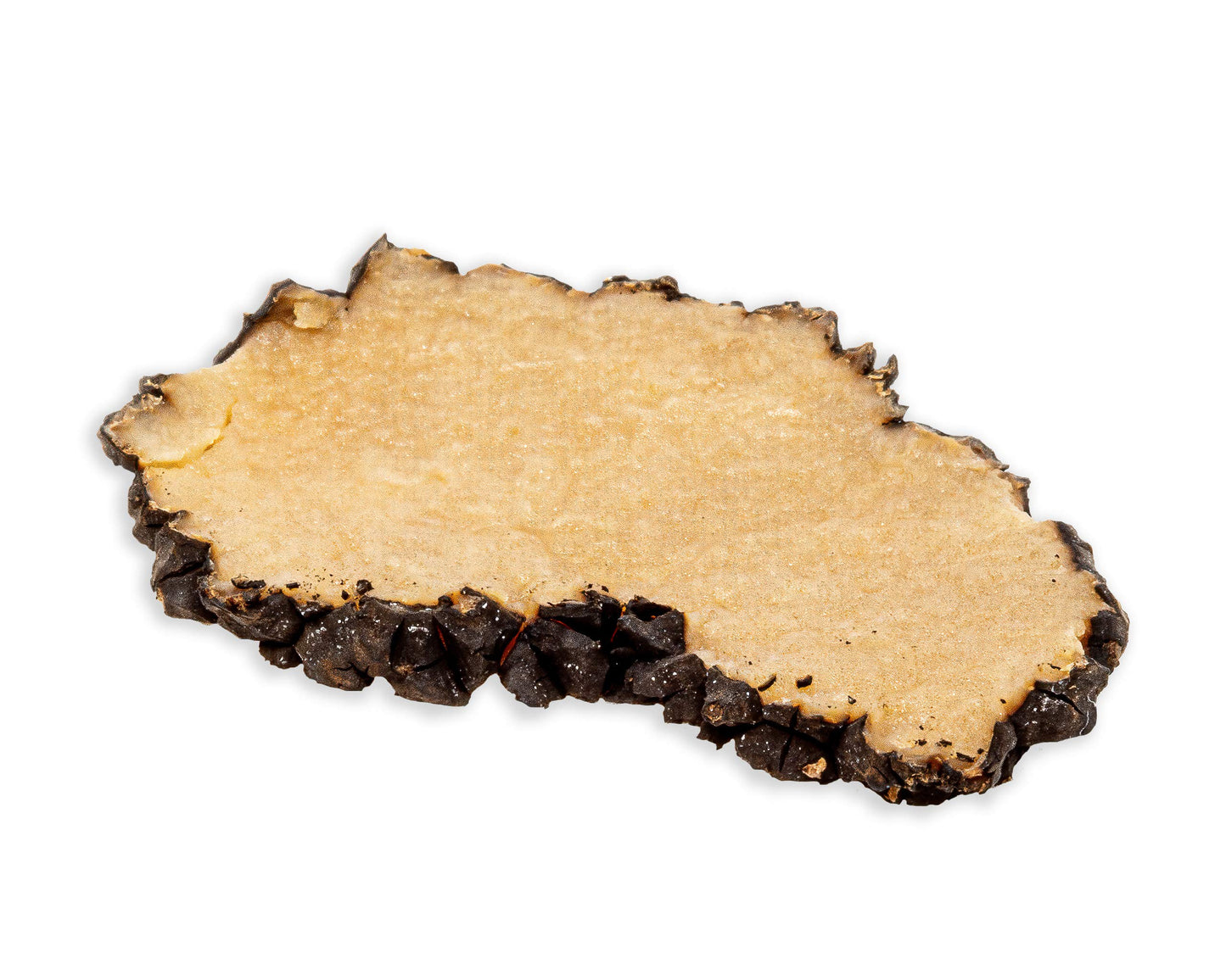 Black Truffles, Preserved Whole Black Truffles (Tuber Aestivum) Preserved in Brine (30 gram net weight truffles) - Truffle Mushroom Gourmet Food