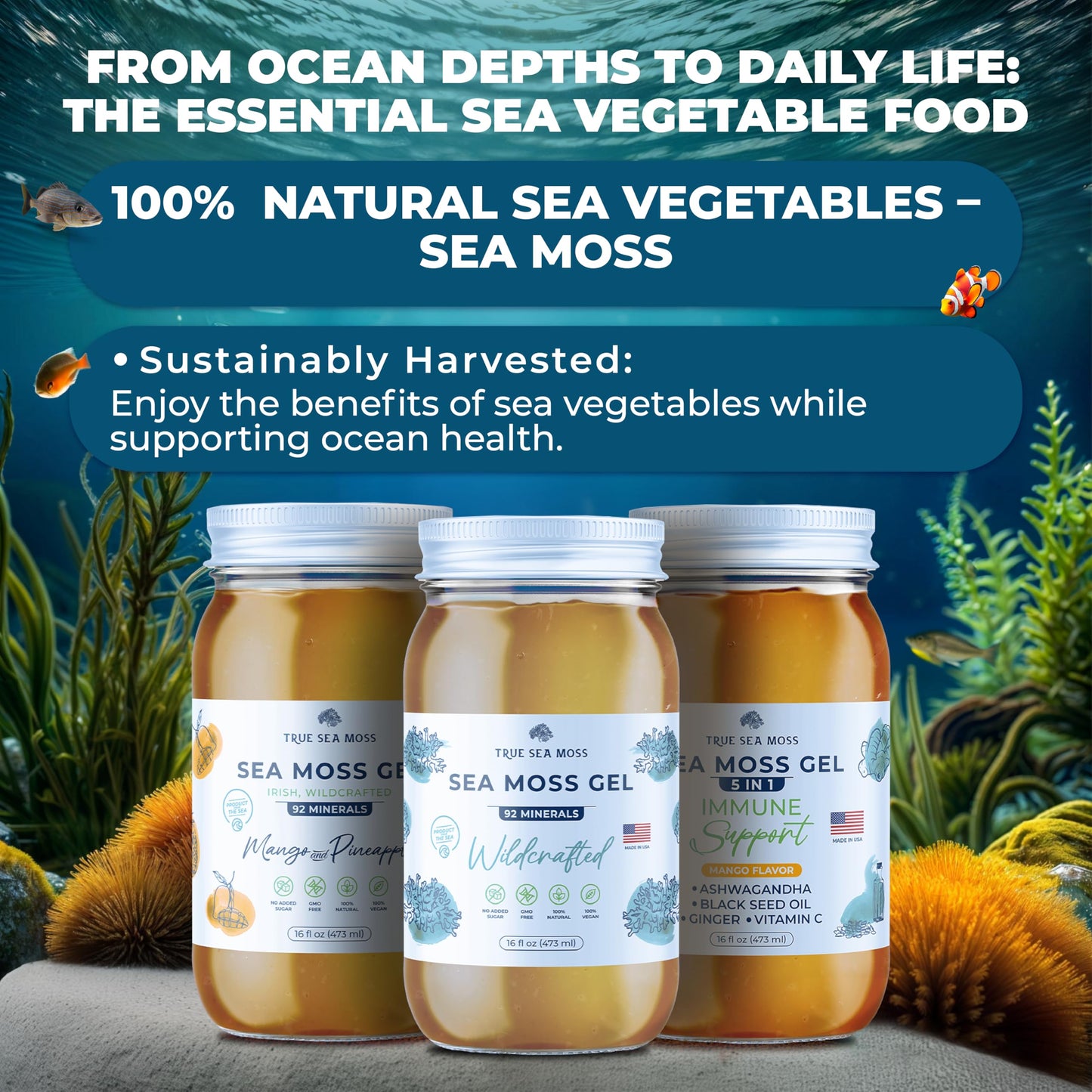 TrueSeaMoss Wildcrafted Irish Sea Moss Gel - Made with Dried Seaweed & Fresh Sea Vegetables, Seamoss - Made in USA (Mango/Pineapple, Pack of 5)