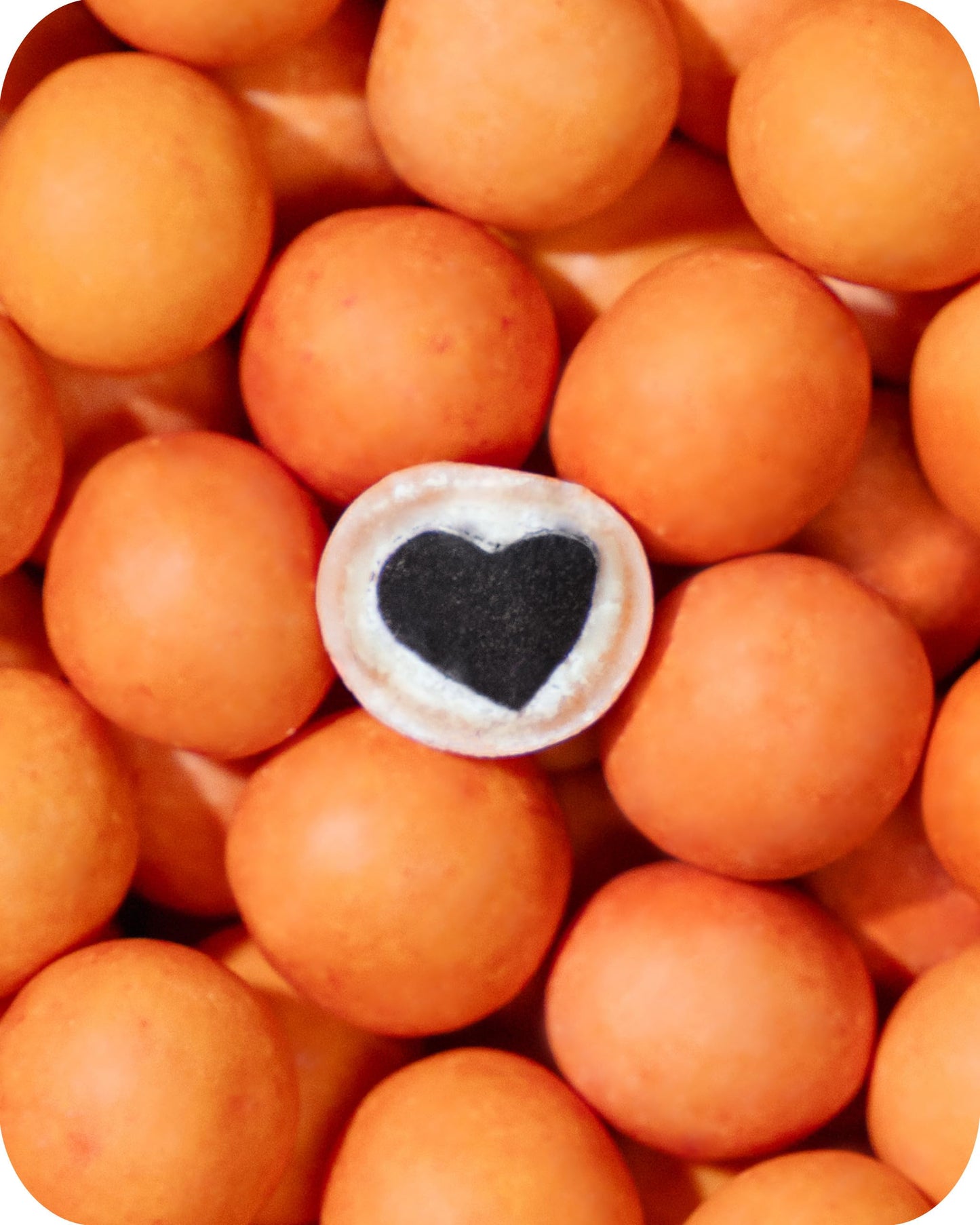 LAKRIDS BY BÜLOW - Peaches - 10.4 Oz. - Chocolate-Coated Gourmet Licorice - Sweet Licorice Core Coated in White Chocolate and Peach
